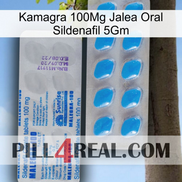 Kamagra 100Mg Oral Jelly Sildenafil 5Gm new15